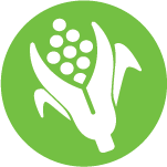 Agriculture, Food & Natural Resources icon